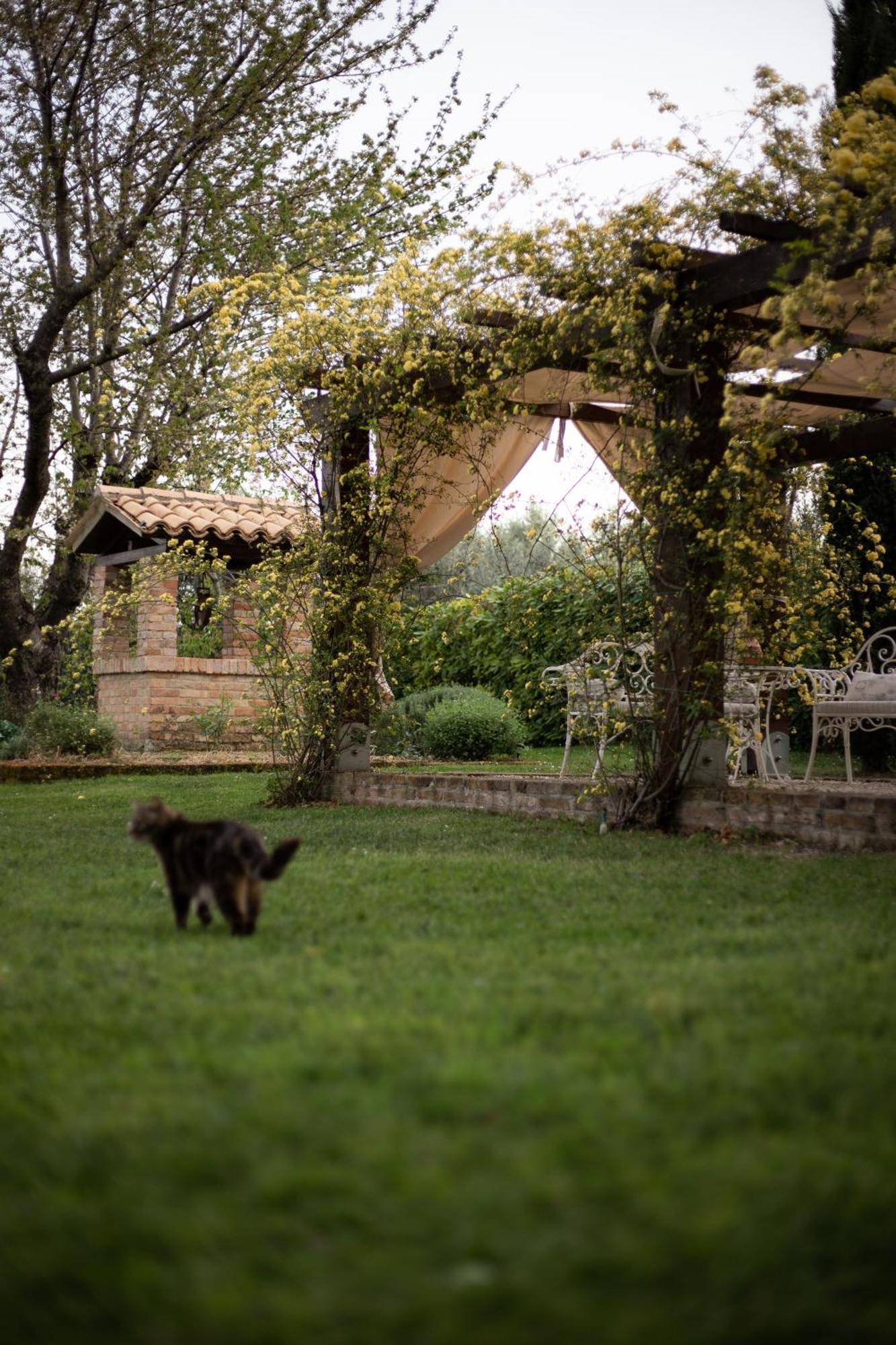 Ca' Le Cerque, Villa Surrounded By The Marche Nature ฟอสซอมโบรเน ภายนอก รูปภาพ