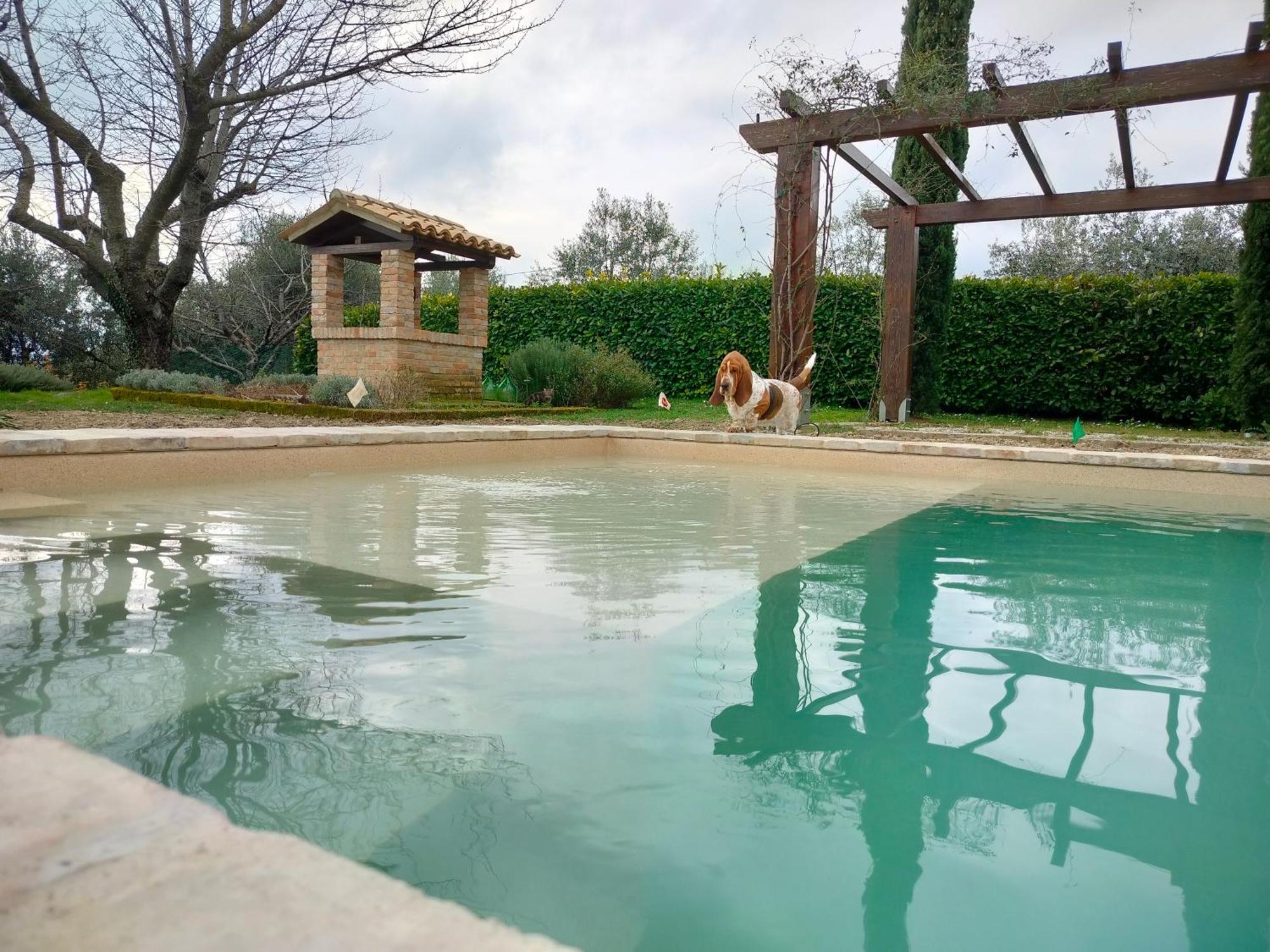 Ca' Le Cerque, Villa Surrounded By The Marche Nature ฟอสซอมโบรเน ภายนอก รูปภาพ